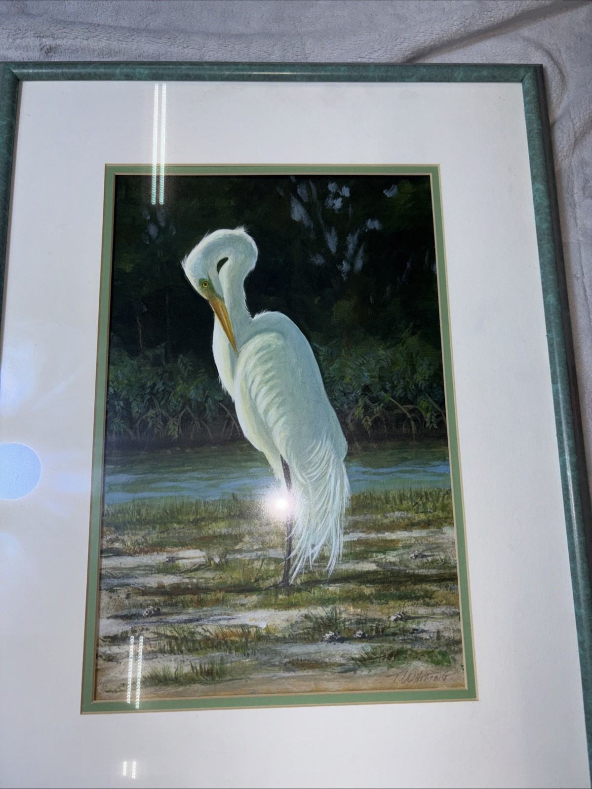 Great American Eret 1999 Ft Desktop FL Framed Painting Signed T.Whiting
