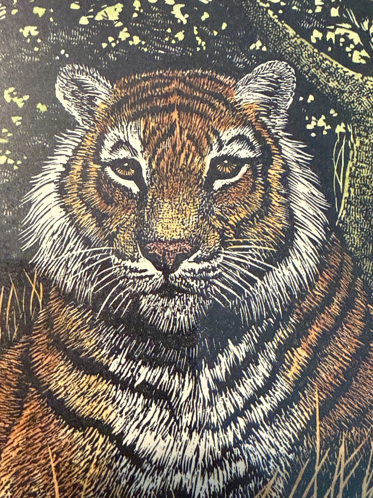 Rama Samaraweera Signed Tiger Print Limited Edition 37/300 In Frame 7.5″x9.5″