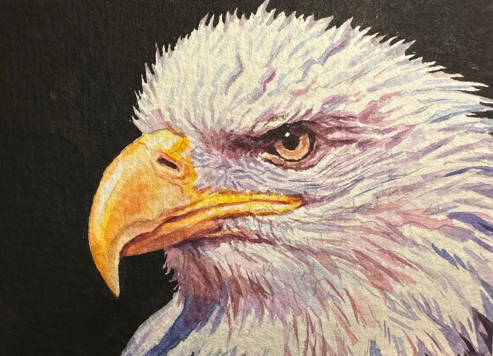 Watercolor Painting Bald Eagle Bird Animals Art No.182