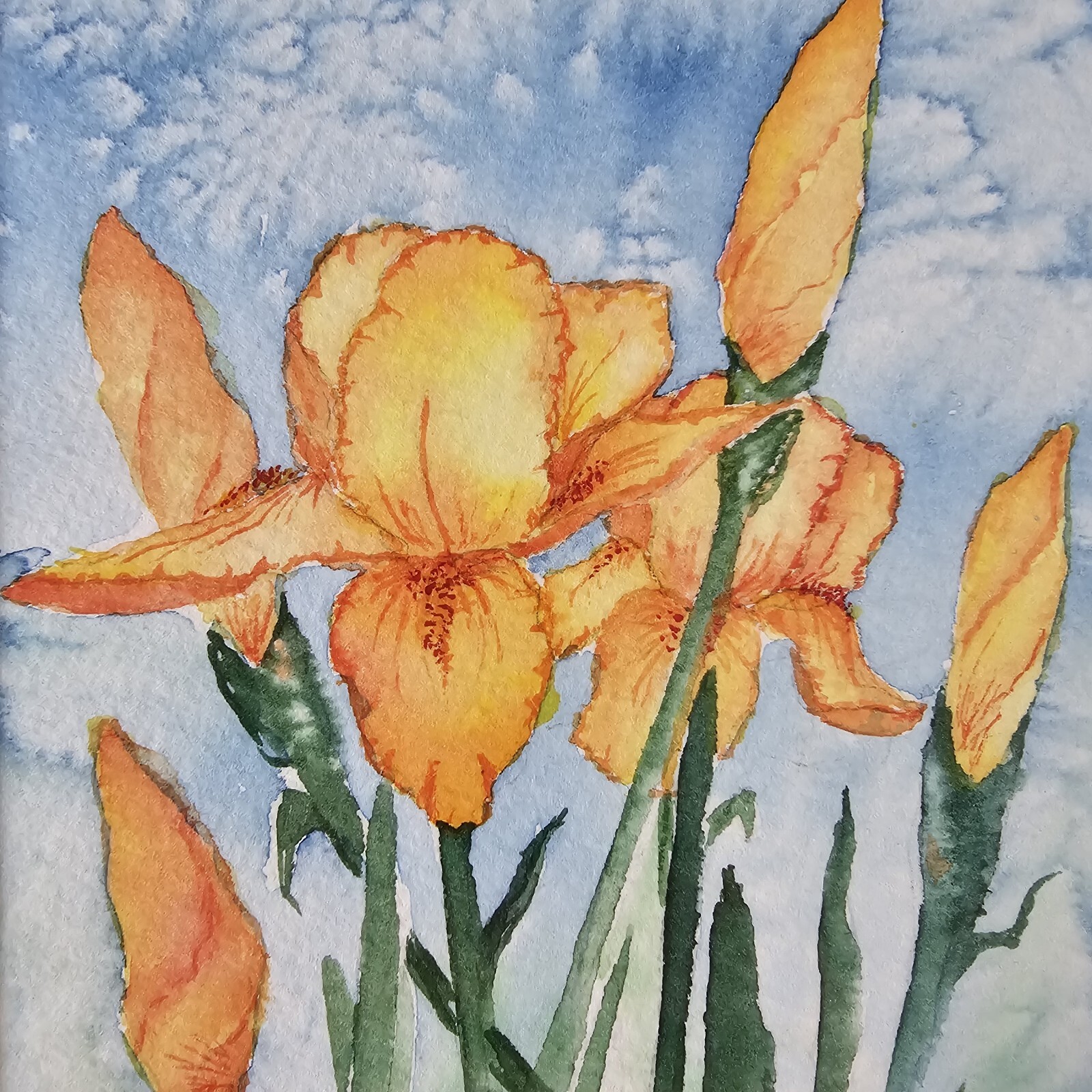 Signed Original Agnes Marie Salmon Watercolor Painting 9.75×7.25 Framed Art