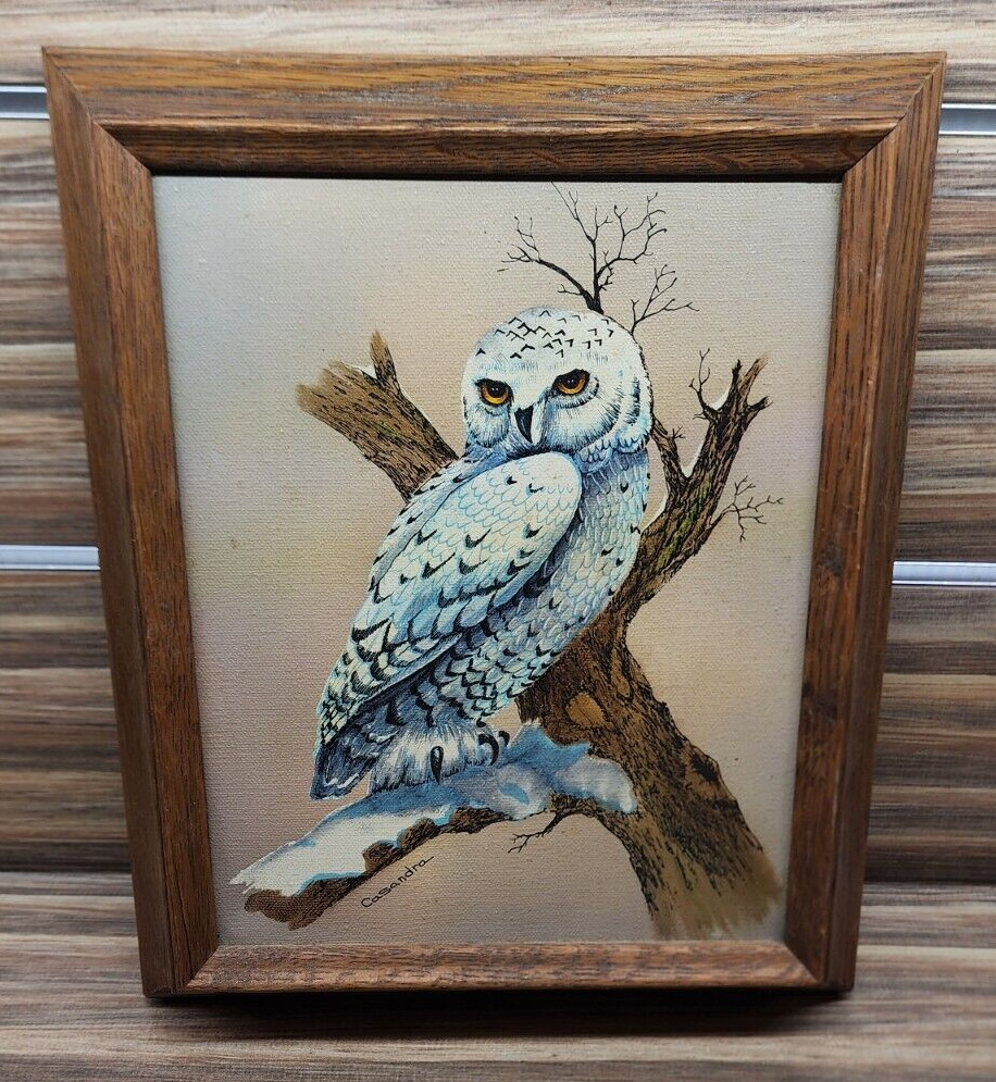 Snowy White Owl Bird Artist Signed Casandra Original Vintage 1980s Oil Painting