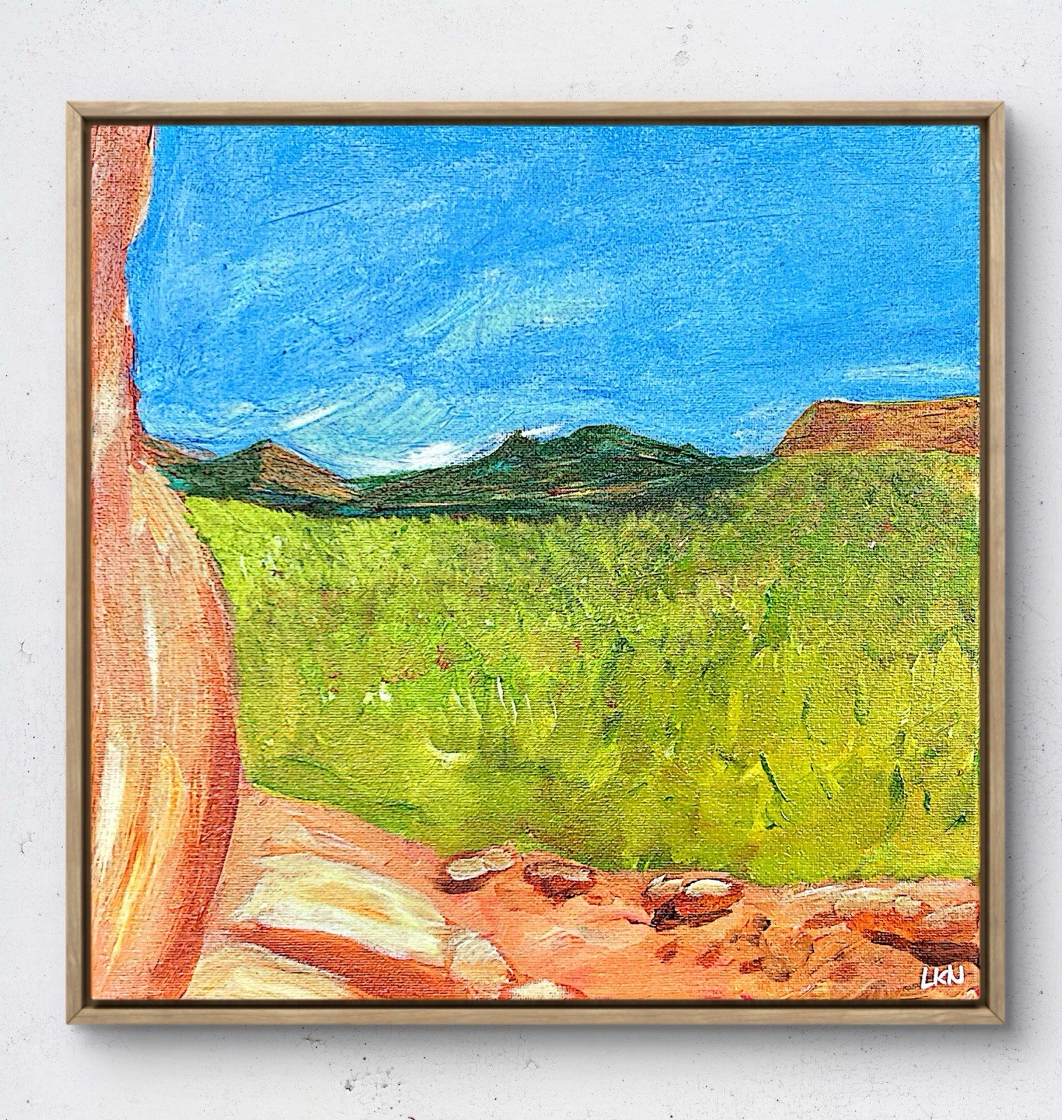 Laeknapes Sedona Valley Southwestern Abstract Art 12X12 Canvas Home Modern Decor