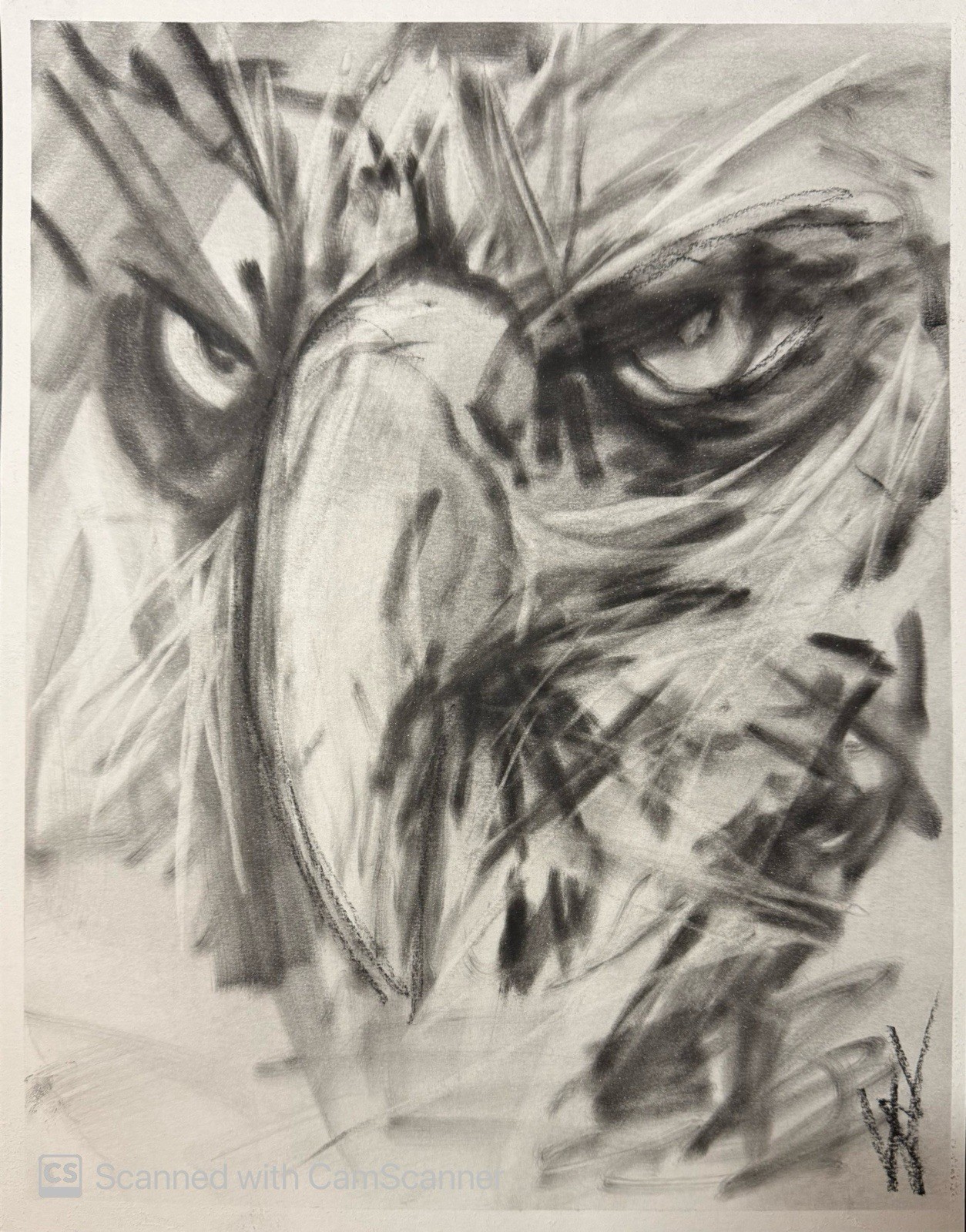 Abstract Eagle Portrait High Contrast 11×14 Pastel on Paper Expressionist Art
