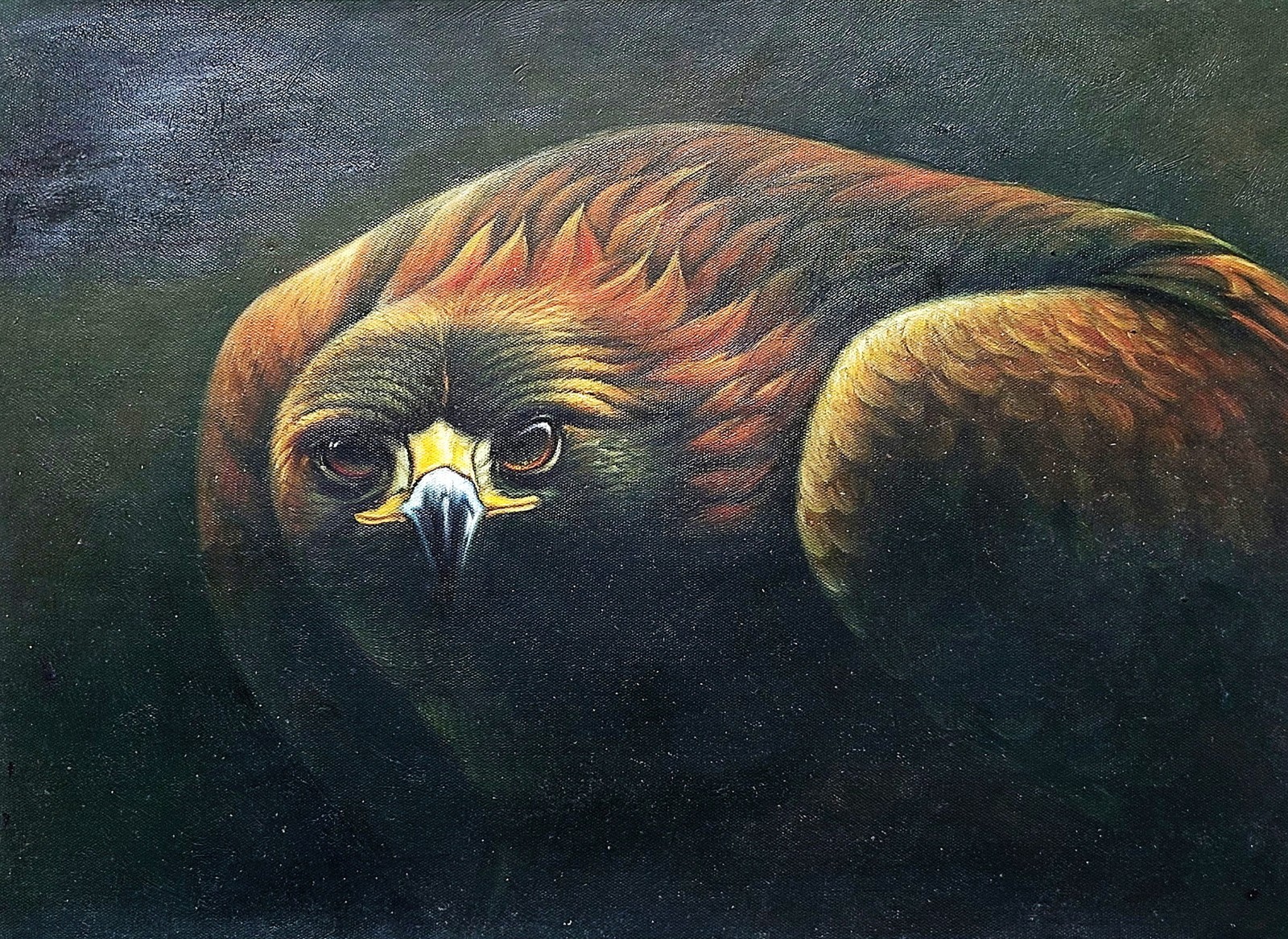 Eagle, 12×16 – 100% Hand painted Oil Painting on Canvas,