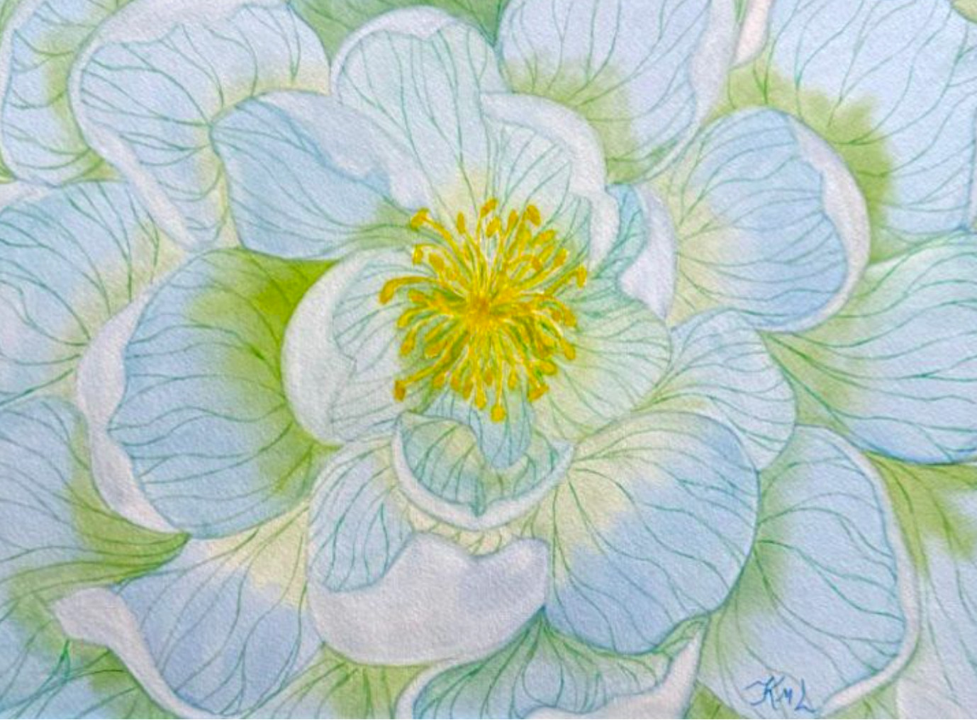 PAINTING WATERCOLOR 11X14 DOUBLE WHITE MAT 16X20 FLOWER POPPY BLUE GREEN YELLOW