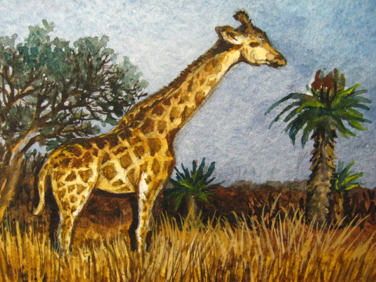 Watercolor Painting Giraffe Savanna Africa Wildlife Animals Nature ACEO Art ‘