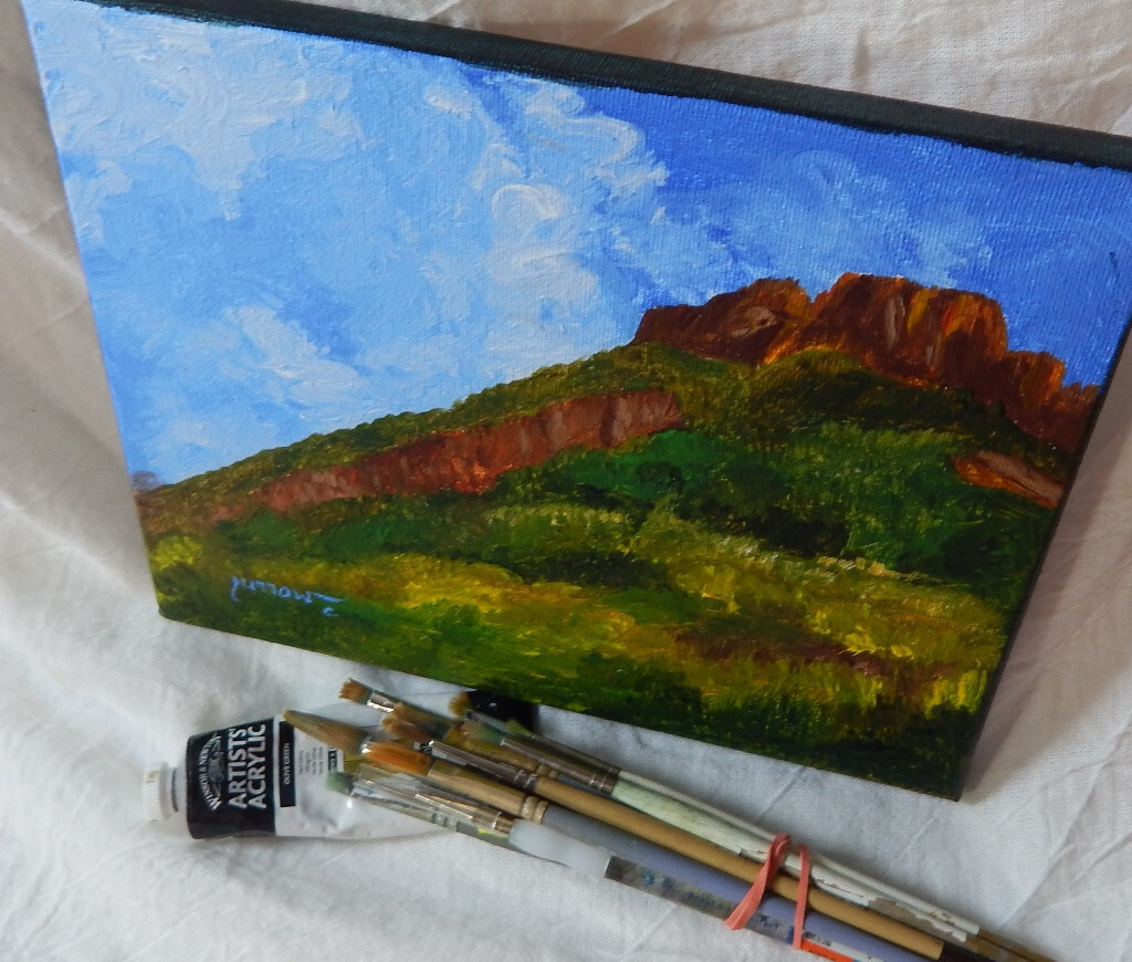 ORIGINAL ART HAND PAINTED APPALACHIAN TRAIL MOUNT ROGERS VA. USA BY SUE FURROW