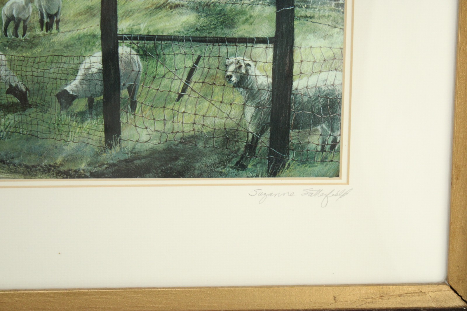 Susan Satterfield Framed Print Lancaster PA Behind the Buggy Amish Deep Frame