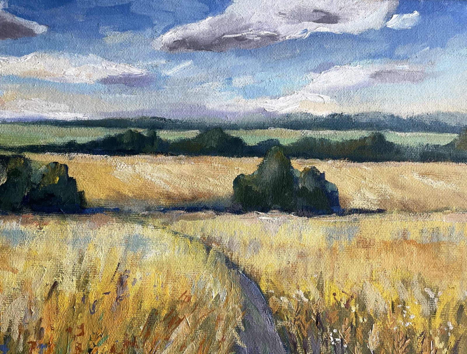 Ukraine Painting Original Oil Painting Wheat Fields Landscape Art 16×20″ signed
