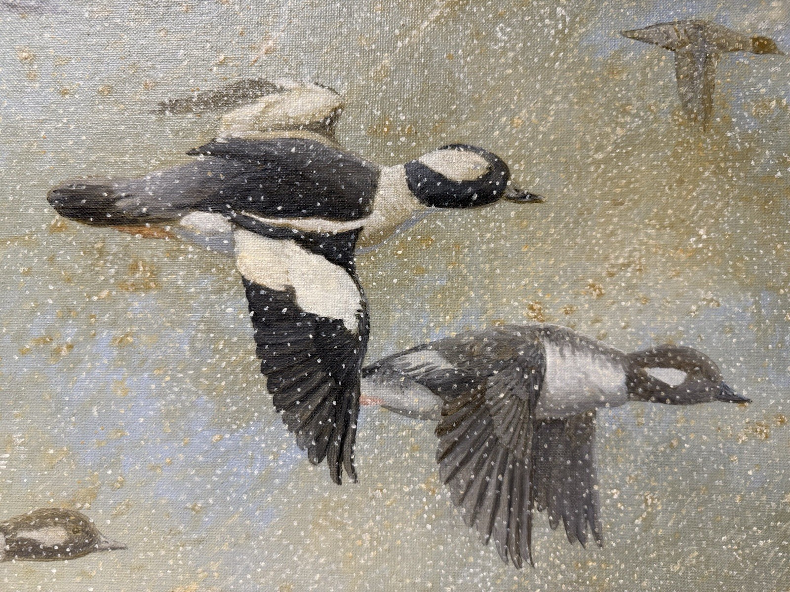 Barry Kent MacKay Original Bird Art Painting Bufflehead Ducks, Signed, Unframed