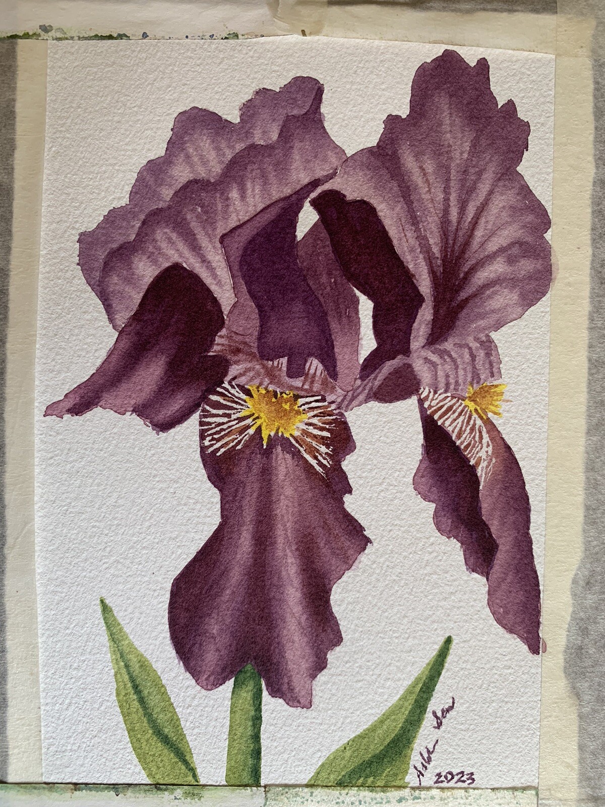 Original watercolor painting Purple Iris Flower, floral wall art, colorful decor