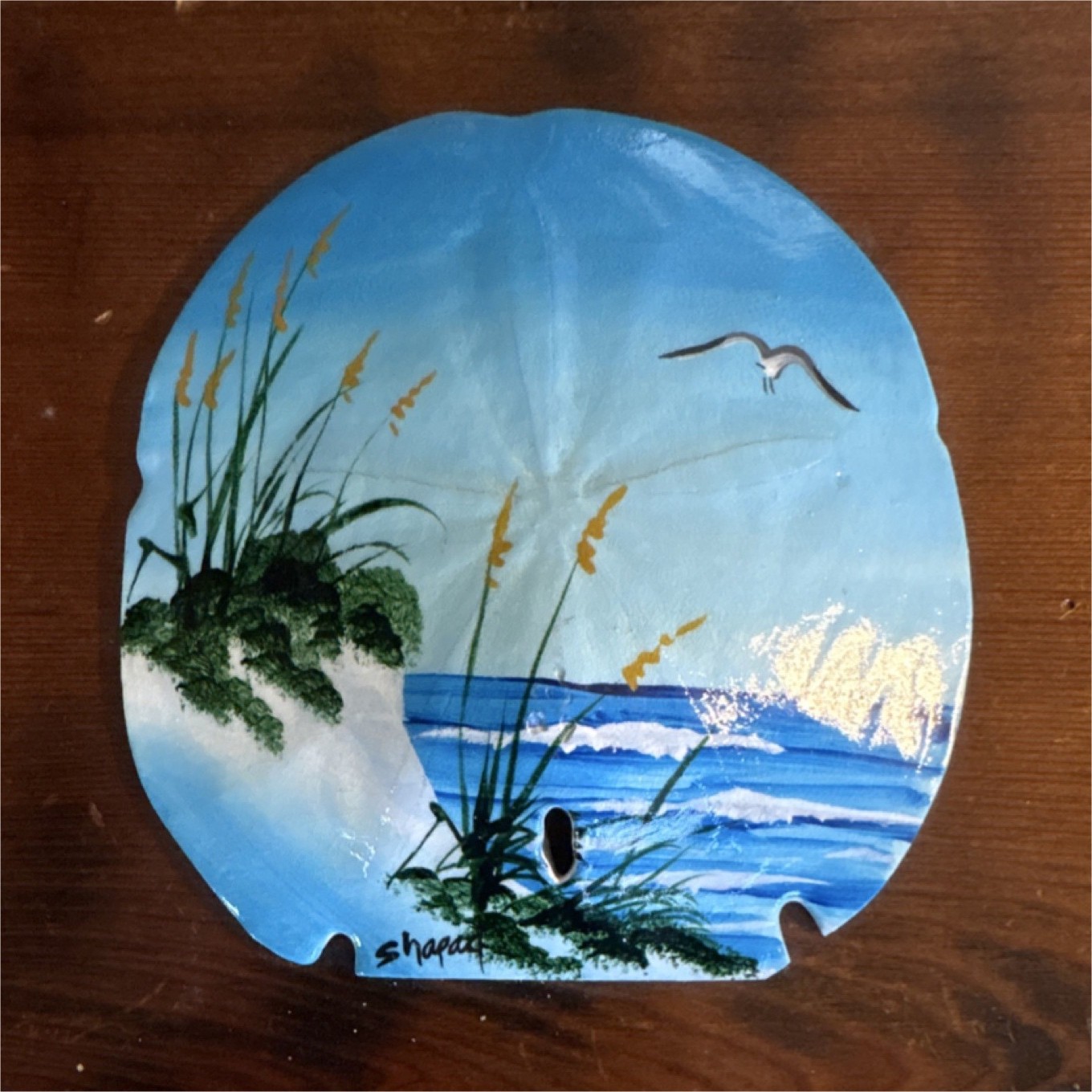 Hand Painted Sand Dollar Shell Beach Scene Signed Shapac Wood Plaque