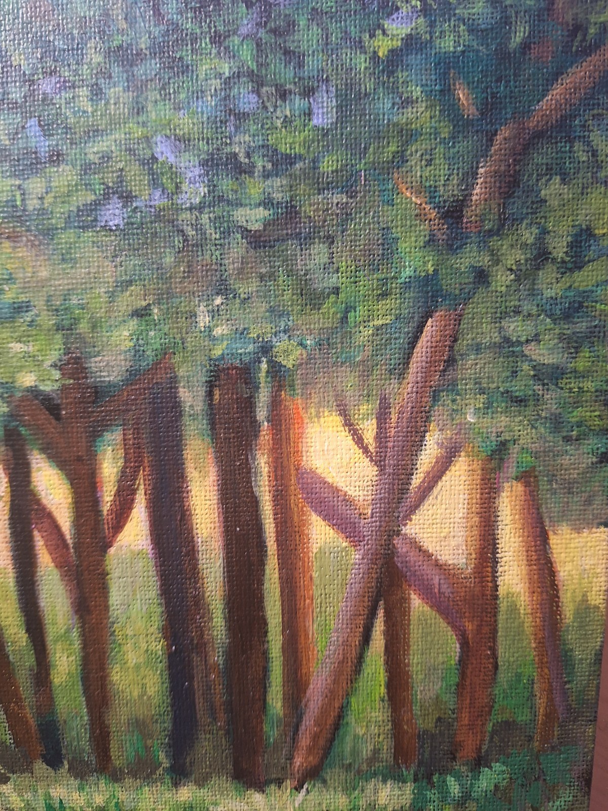 Sun Through The Forest 8×10 Acrylic Canvas Panel Painting