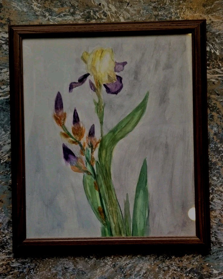 Art Iris Watercolor painting Purple Iris Art Flower Watercolor Artwork 16×12