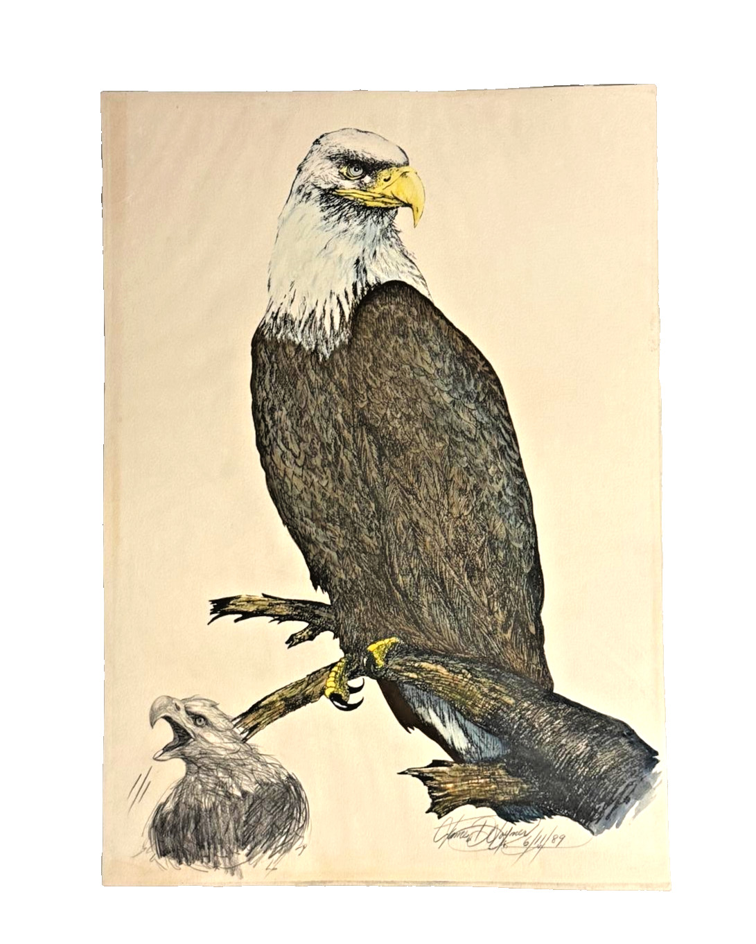 James D Joyner Original Signed Bald Eagle Patriotic Art 1989 25.5×18 July 4 Gift