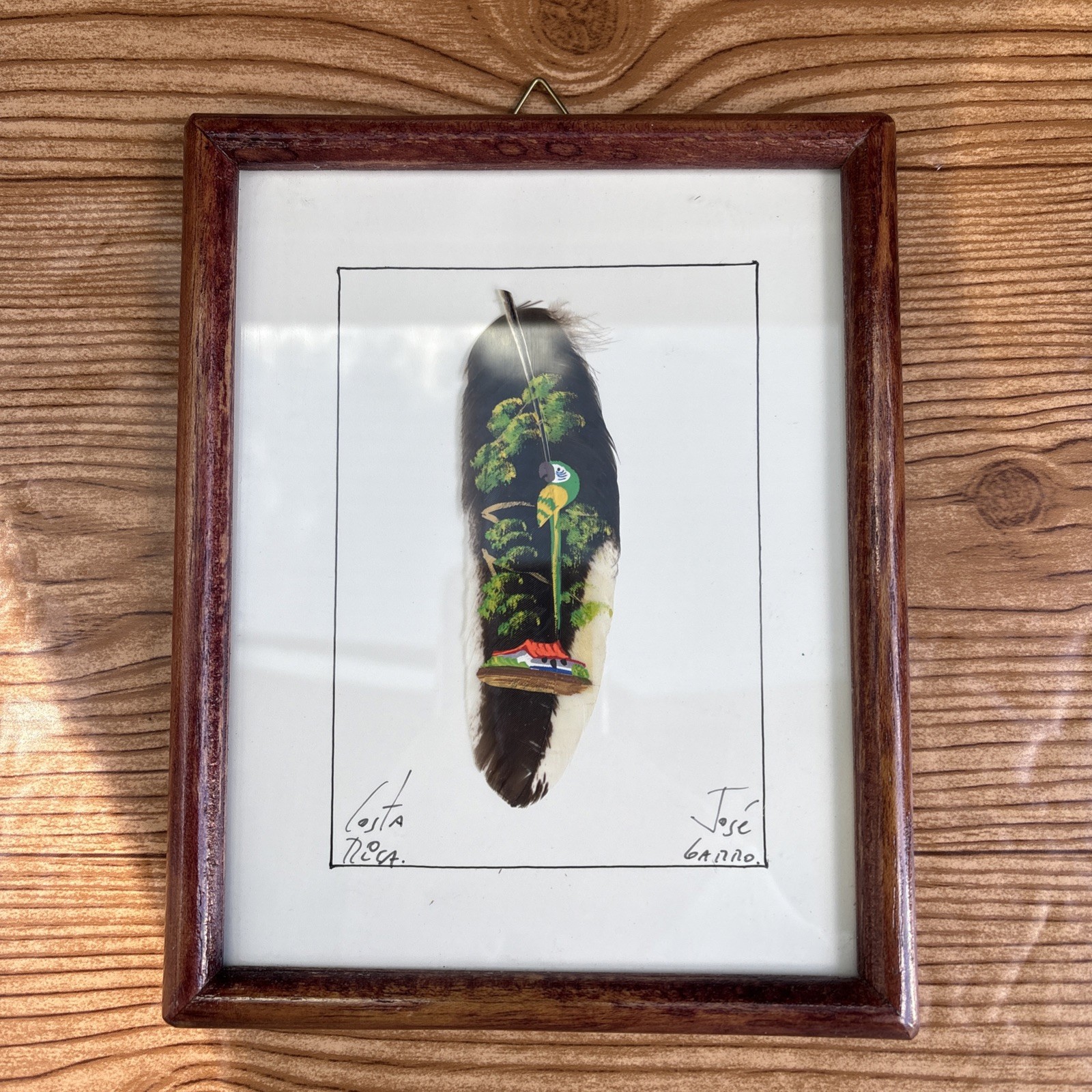 Hand Painted Feather Art Parrot Signed Costa Rica Framed 8» x 6” Jose Garro