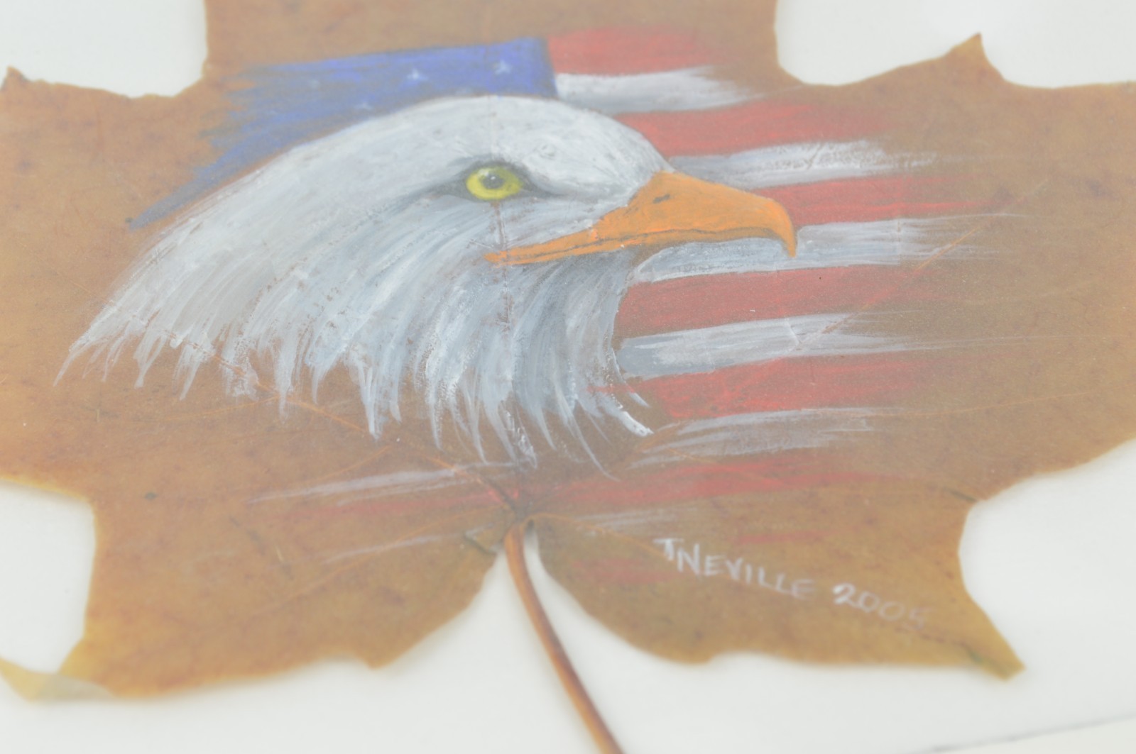 Original TNEVILLE Leaf Bald Eagle Oil Painting U.S. American Flag July 4 Art