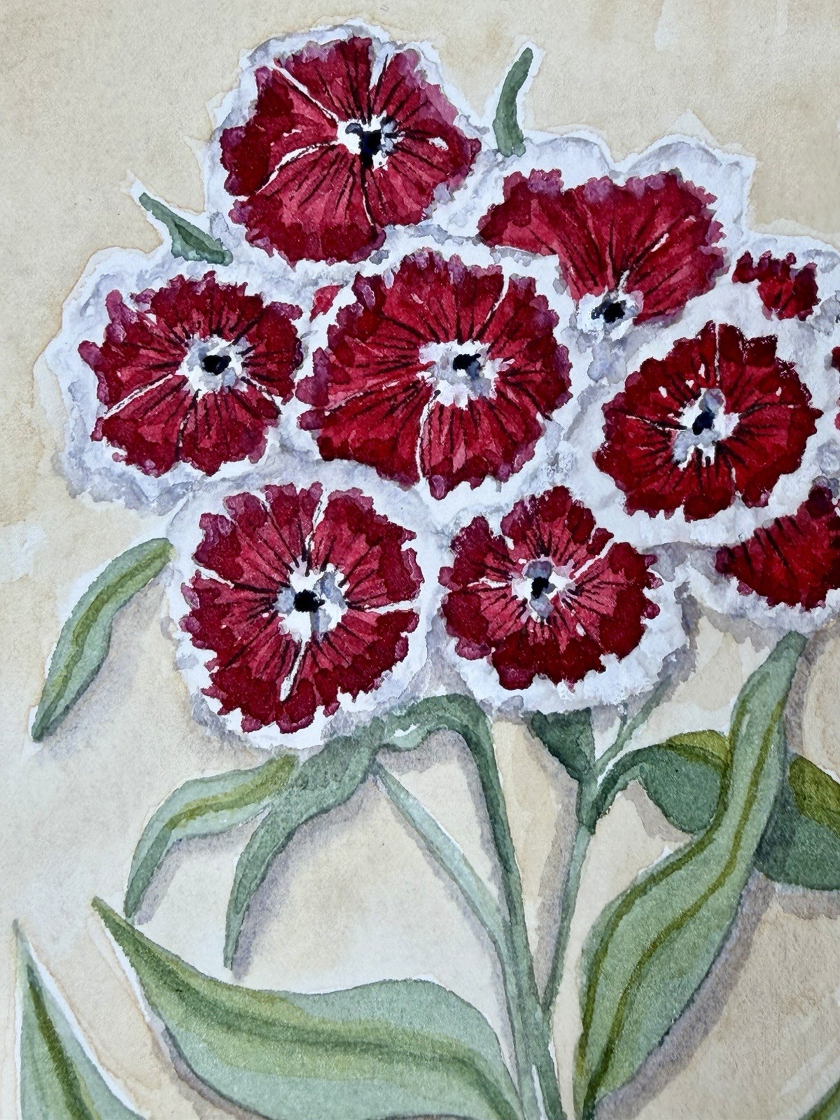 Painting by M. Hackney Sweet William Floral Watercolor & Ink, Signed, 5×7 COA