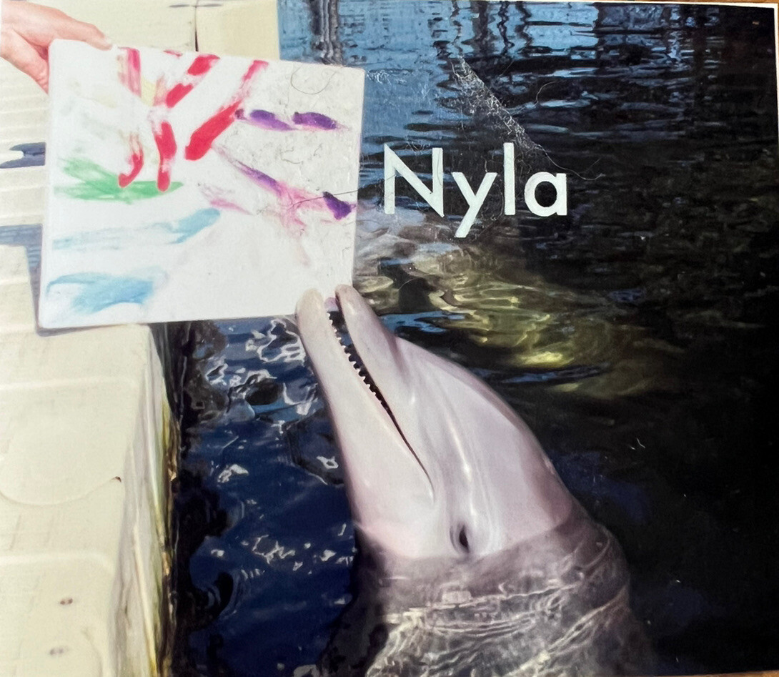 Original Painting By Nyla The Dolphin