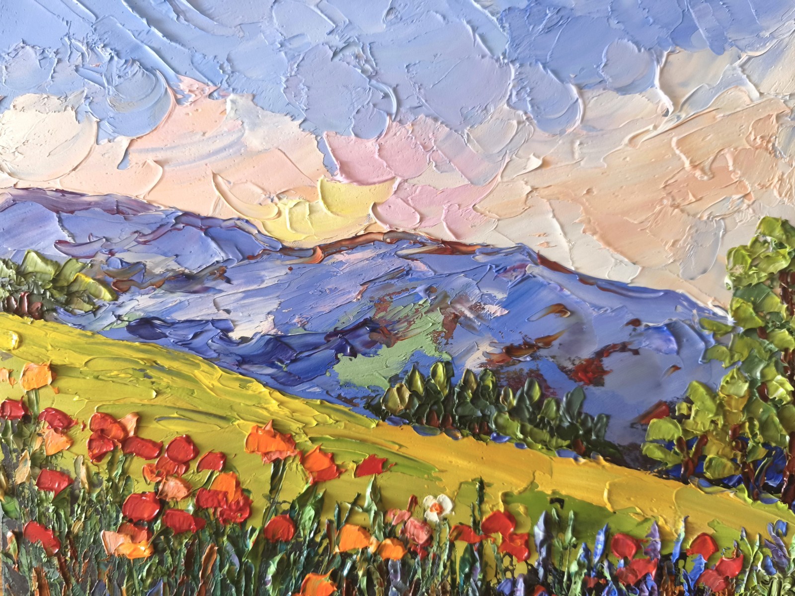 Original Art Oil Painting California Poppies Landscape Impasto Artwork 8x10in