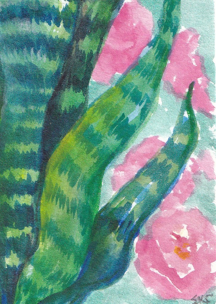Mother-in-law Plant, Pink Cactus Flowers ACEO Original Watercolor Painting