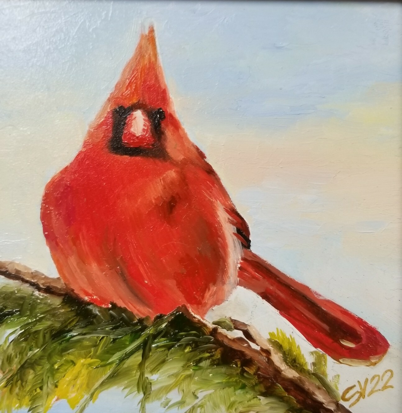 Red Cardinal, Male, Original oil painting Backyard bird. 5″×5″. Framed