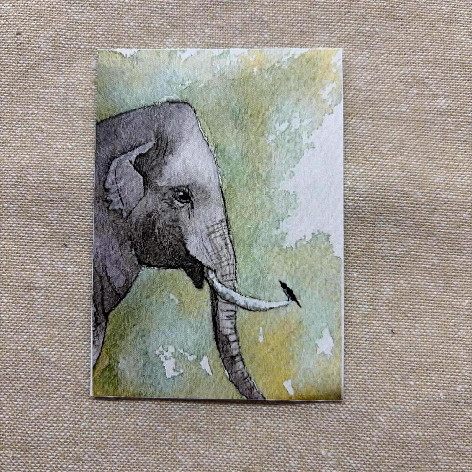 ACEO Print by AmberInWatercolor Cute Elephant, Bird Landscape, Animals, African