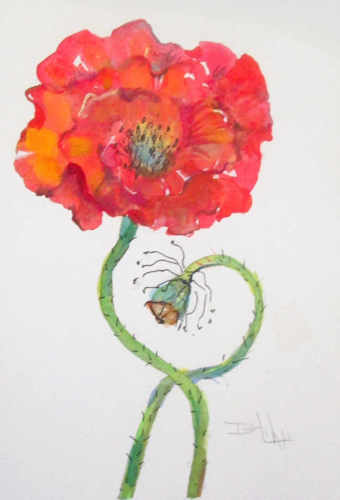 Delilah original poppy flower garden red watercolor summer impressionism art