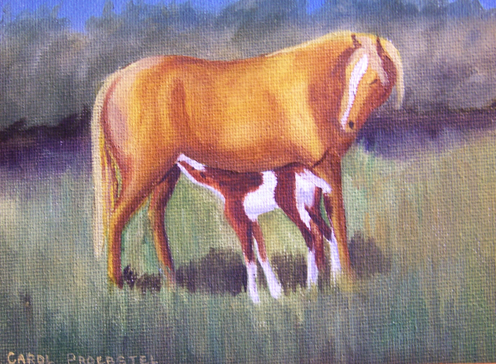 western original oil painting horse colt small framed