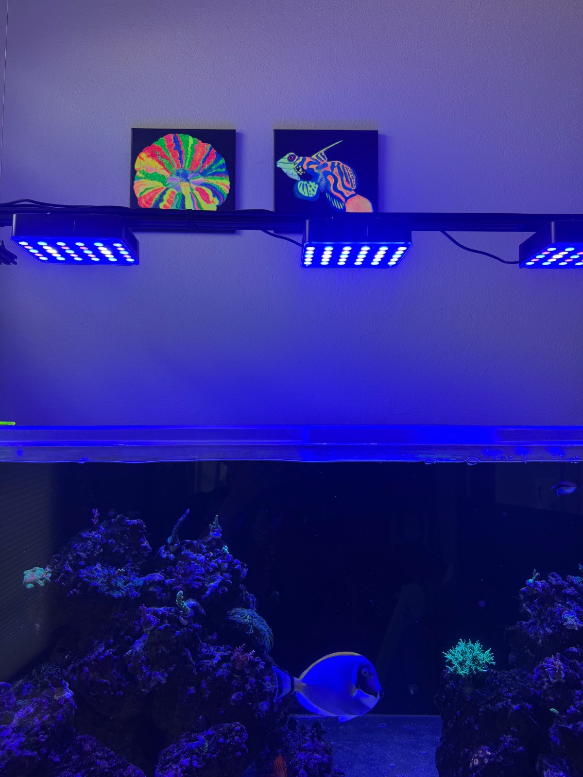 Neon Saltwater Aquarium Decrative handmade fluorescent Painting Coral Reef Fish