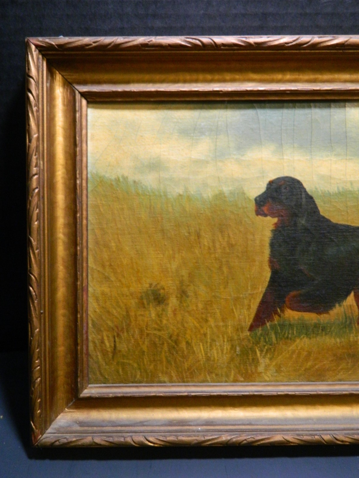 Antique Framed Gordon Setter Pointing Oil On Canvas Signed W.H. Thomas 16.75″ VG