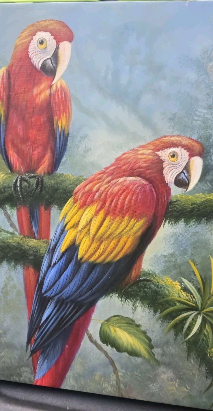 Original Oil Painting TWO SCARLET MACAWS Parrots Birds Signed M Chapot