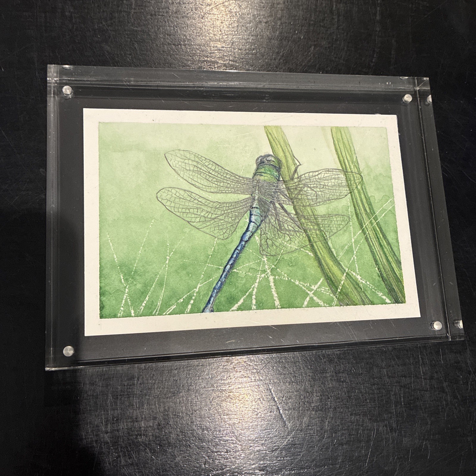 Framed Watercolor Painting Dragonfly on Canson 140 LB Paper Signed By Artist