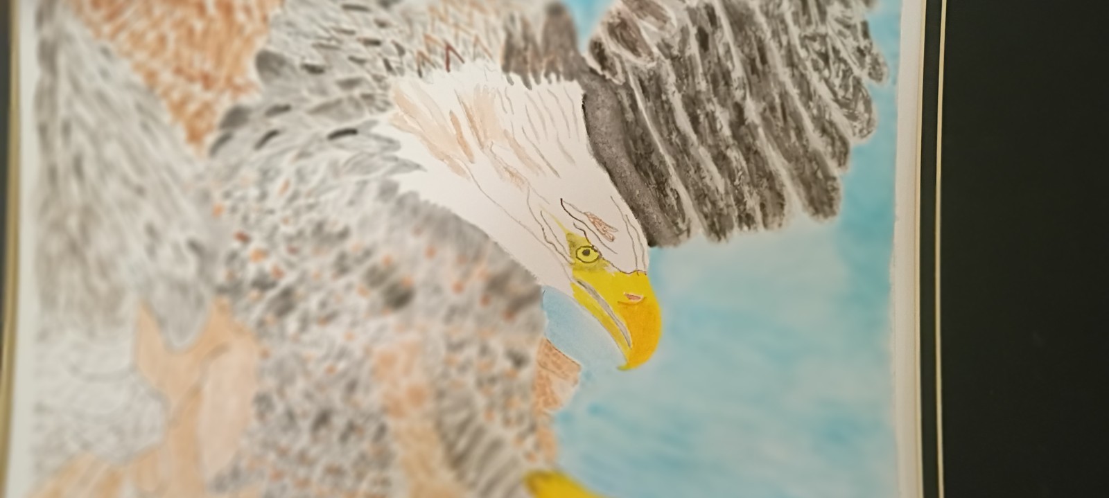 watercolor paintings original Flying Eagle