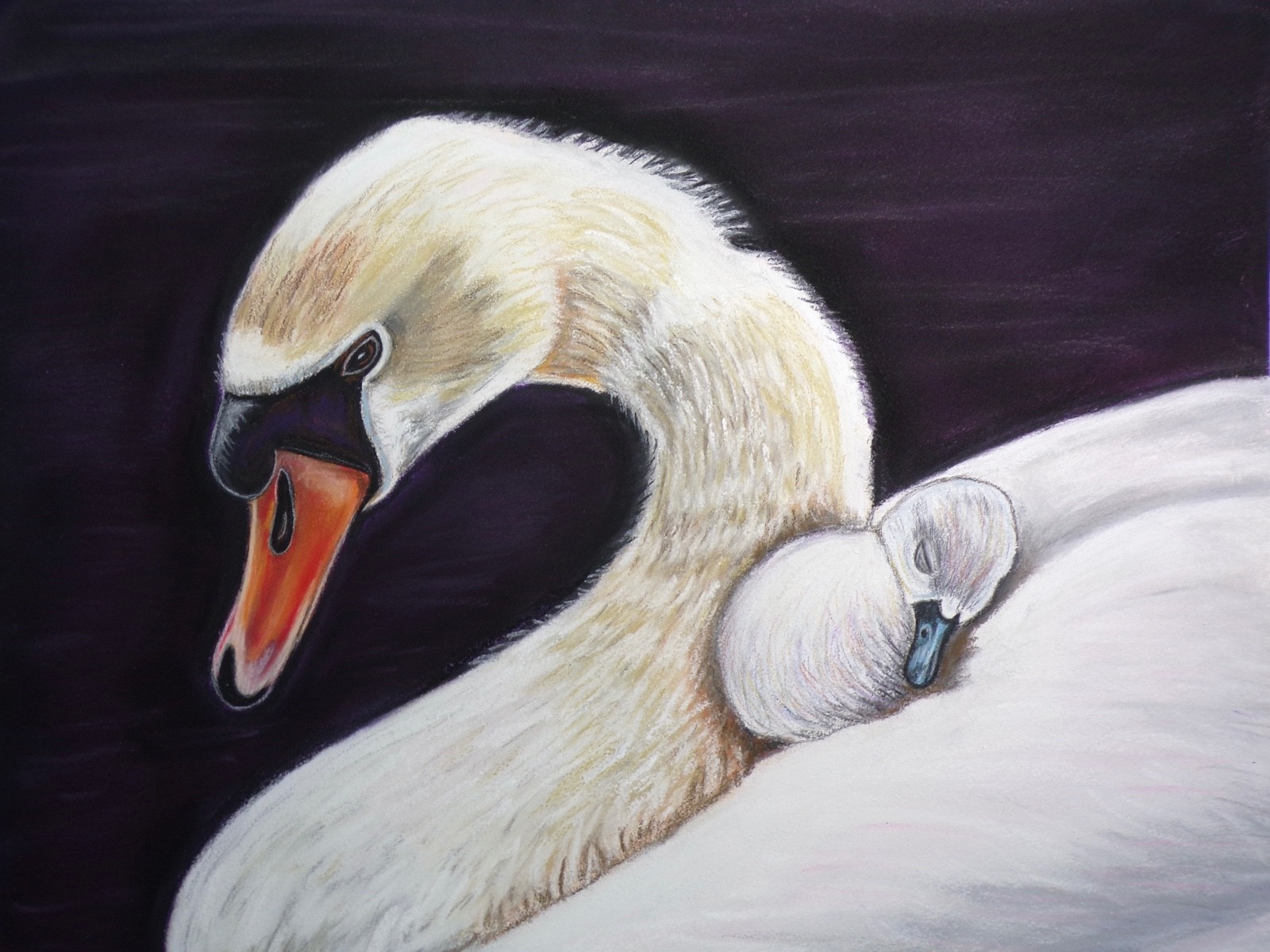 Original Swan Painting -Swan bird with baby