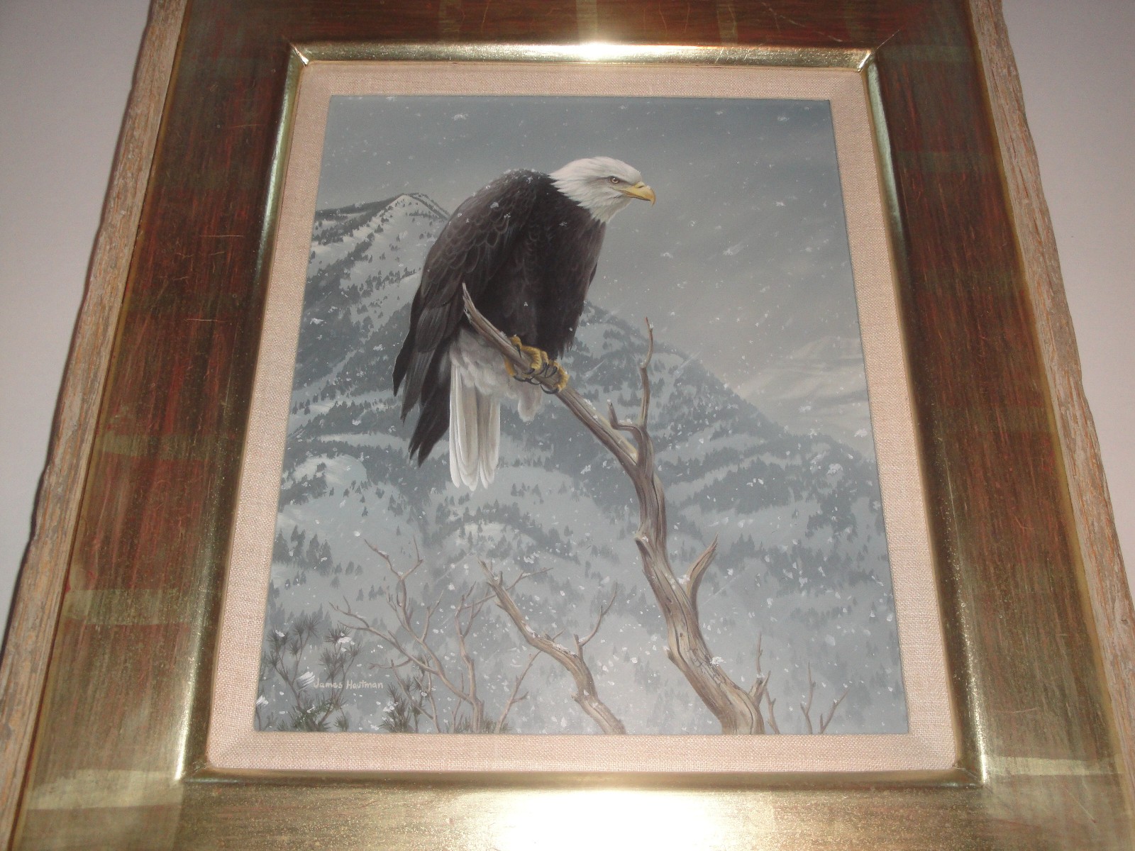 Federal Duck Stamp Winner Jim Hautman Original acrylic painting Bald Eagle NICE