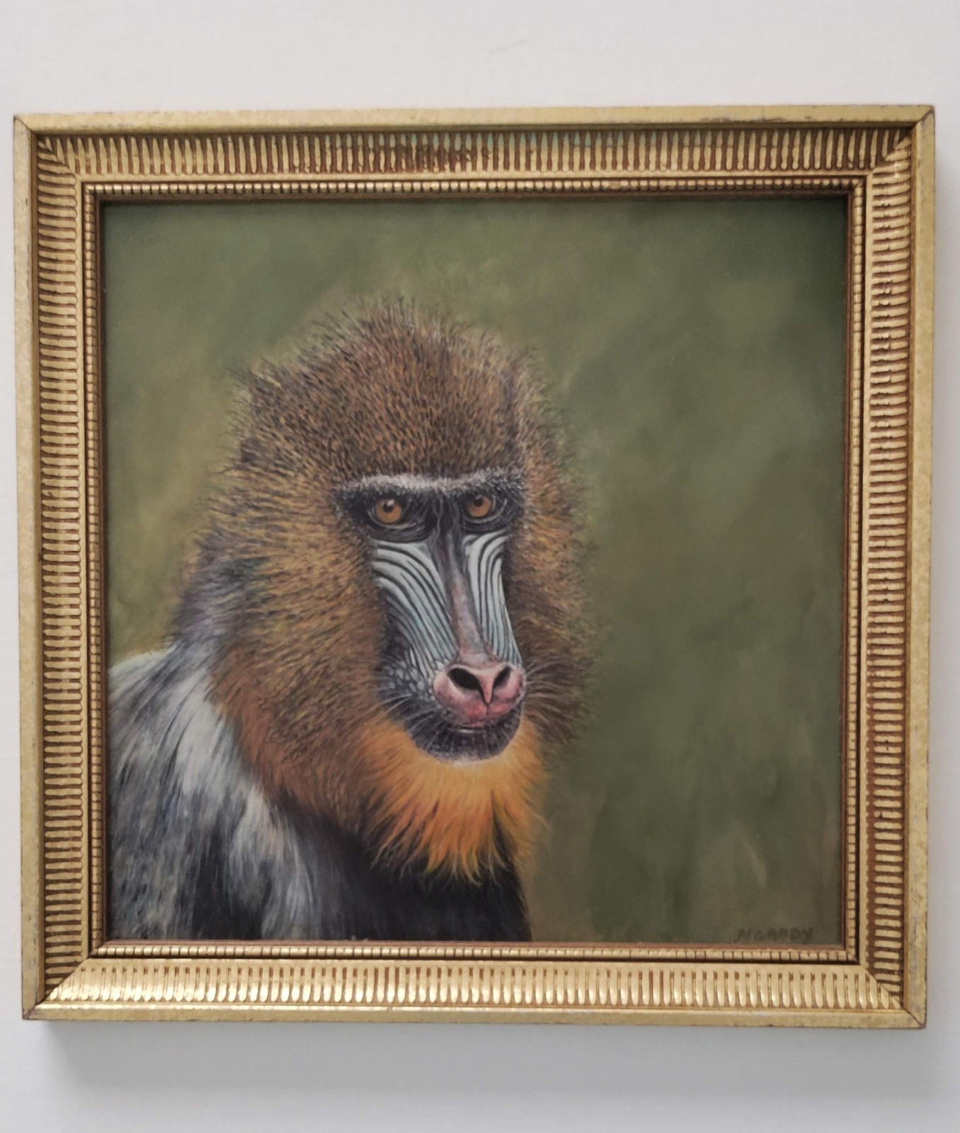 Original Realistic 10 x 10 Mandrill Monkey Acrylic Painting on Board Framed