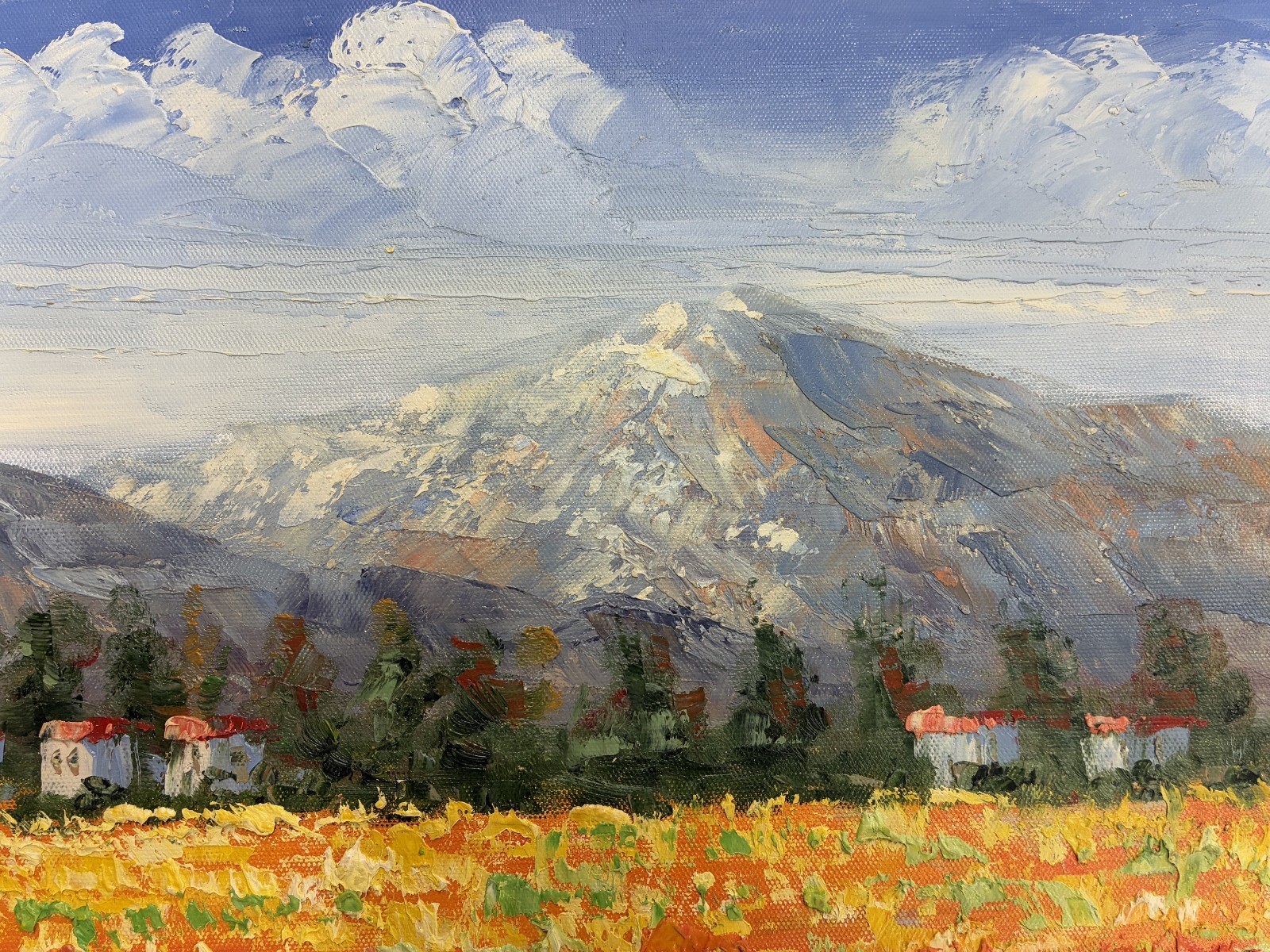*Poppy Field with mountains* original hand painted on Canvas