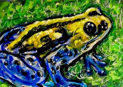 ORIGINAL ACEO Painting POISON DART FROG Amphibian Animal Spring Nature ATC ART