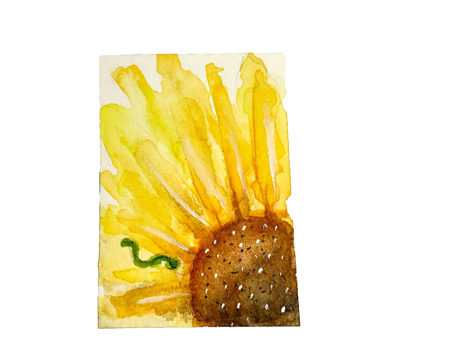 ACEO Original sunflower worm flower ATC Cherie Donnell OOAK