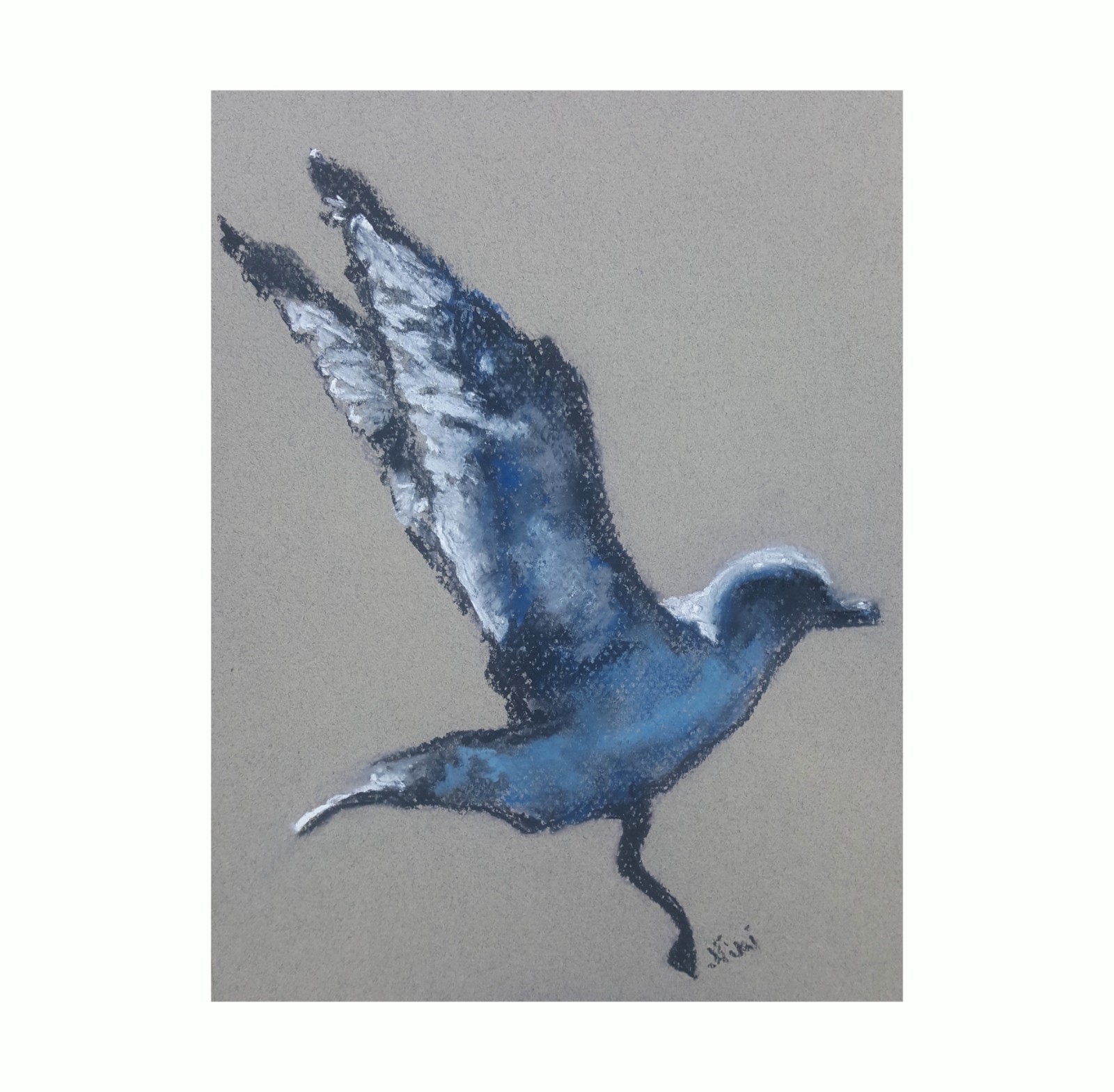 Original Bird Artwork Pastel Seagull Figure California Wildlife Drawing