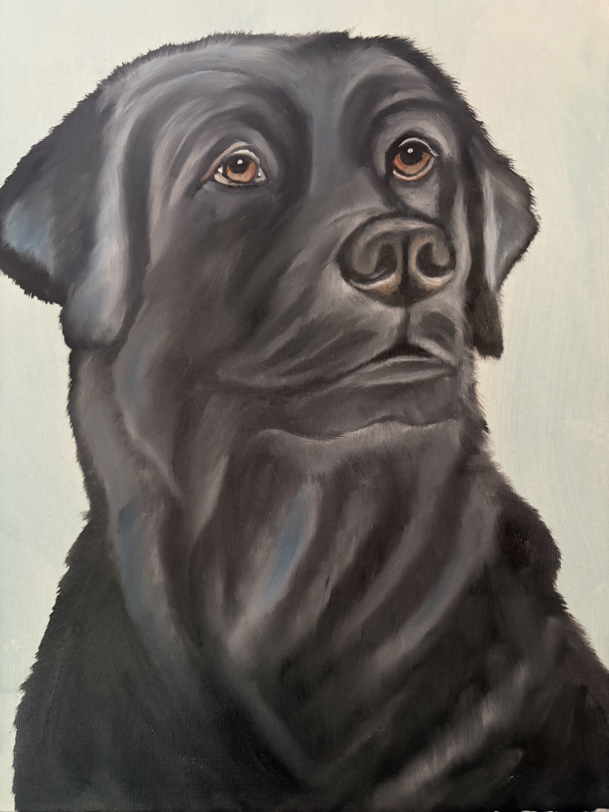 Original oil painting 11 x 14 inches handsome black Labrador retriever dog