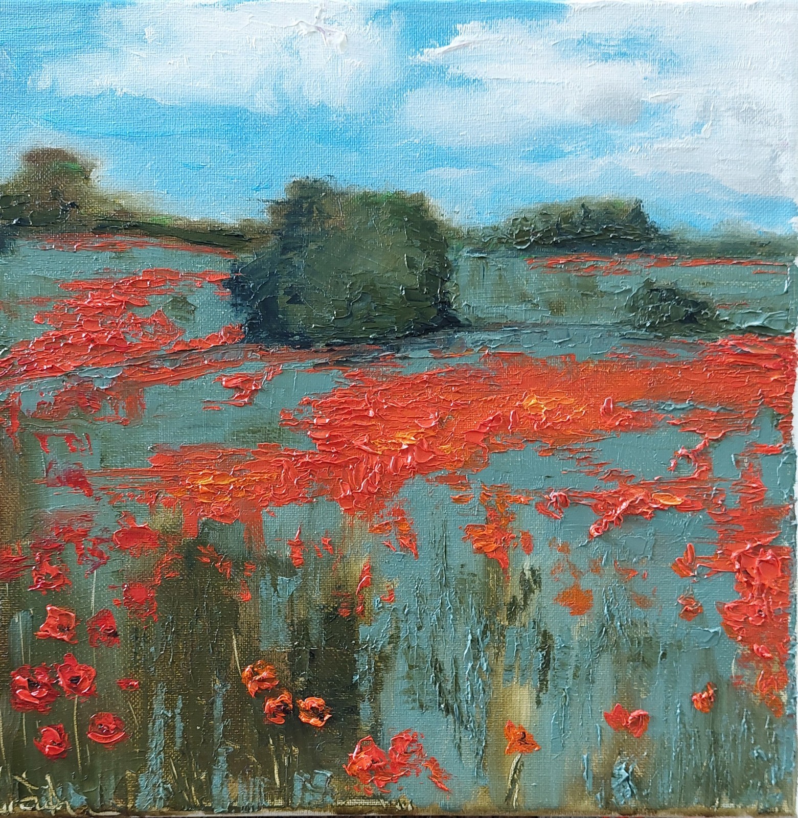 Oil original painting on canvas size 12×12 inches Poppy field