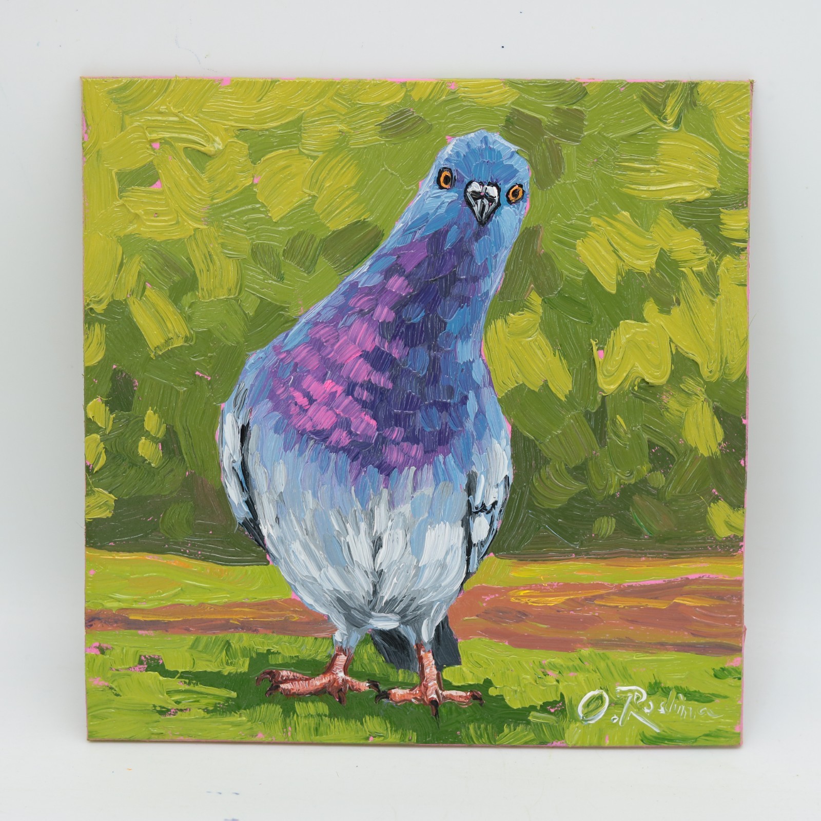 Pigeons Art Bird Impressionism Oil Painting, Funny Animal Wall Art 6×6 inch.
