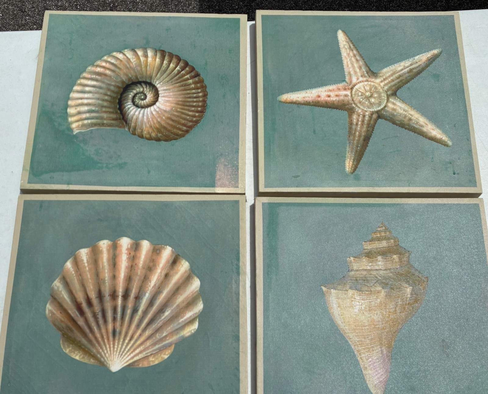Four Contemporary Acrylics Paintings of Shells – Unsigned