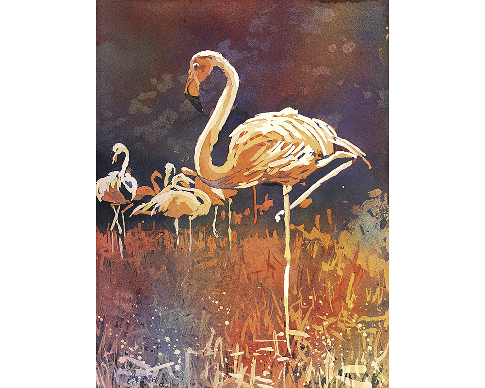 Flamingo painting. Watercolor painting of flamingo. Painting flamingo (print)