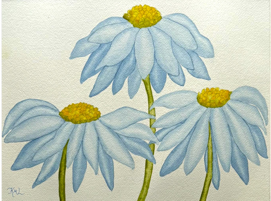 PAINTING WATERCOLOR 11X14 & MAT 16X20 FLOWER DAISY CONEFLOWER BLUE ORIGINAL ART