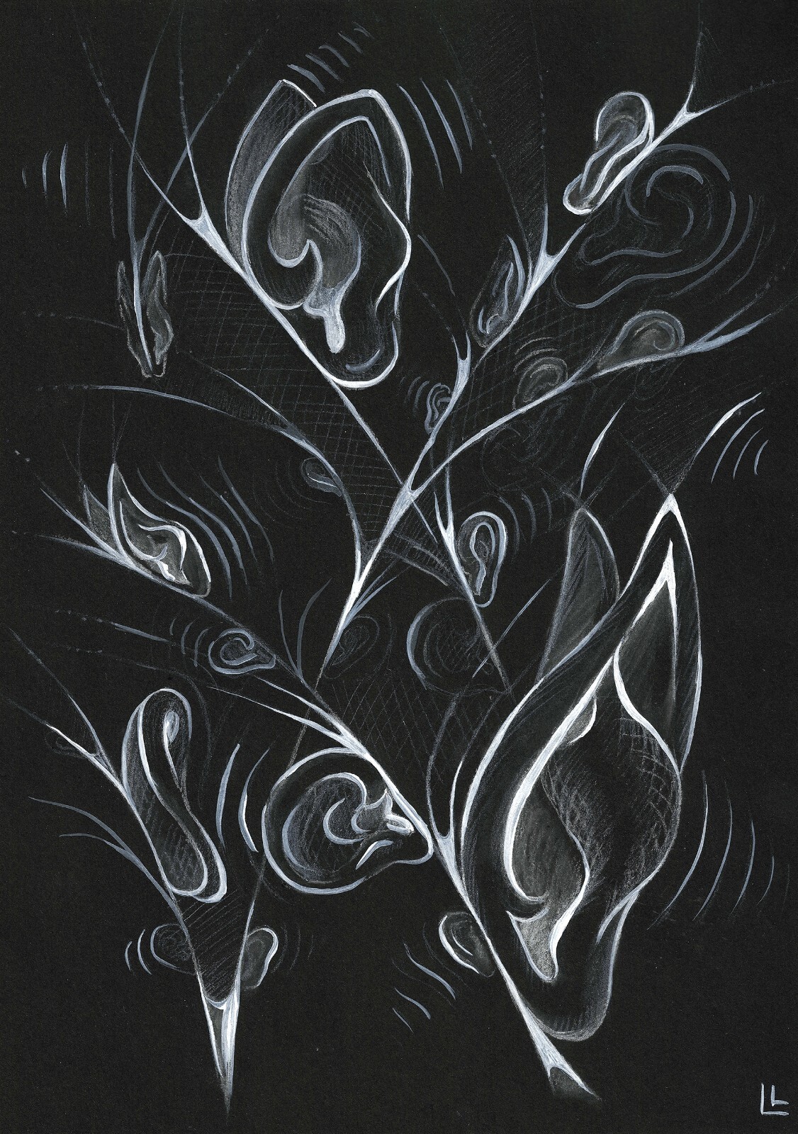 Ears graphics, fantastic butterfly world art work, surreal drawing, white black