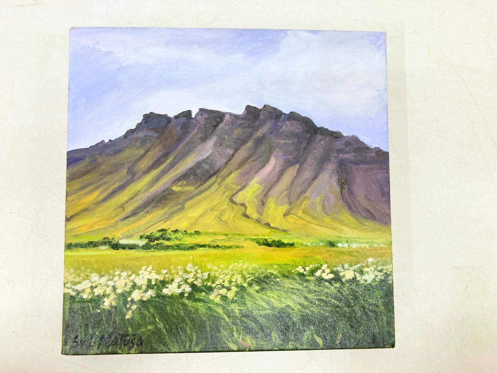 2011 Icelandic Oil Painting Svetlana Matusa Lana Esja in Summer 30 x 30 cm
