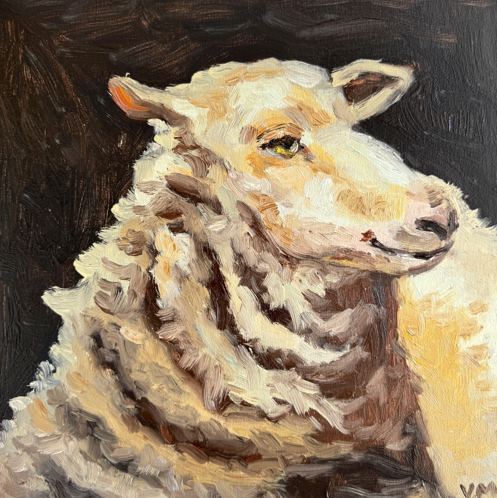 Sheep Original Oil Painting Pet Farm Animal Canvas Art VICTORIA MAC 12X12”
